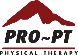 PRO PT
