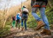 Ground view looking up at hikers heading up a trail